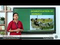 Ancient Egyptian Civilization Concepts