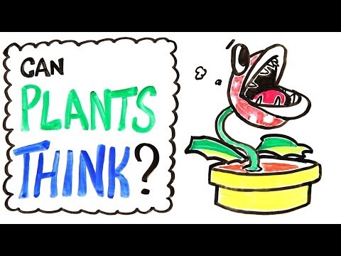 Can Plants Think? 植物會思考嗎?