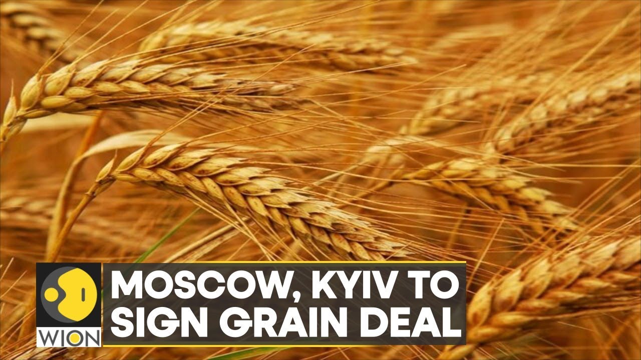 Russia, Ukraine and Turkiye to sign grain export deal | Major breakthrough amid looming Food Crisis