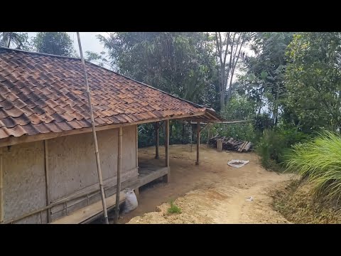 MANCING LAGI DI KAMPUNG HALAMAN YANG INDAH MELEWATI SAWAH DAN BUKIT