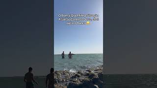 Fim de semana na praia na Espanha #brasileironaespanha #travel #praia #espanha #viajar #turismo