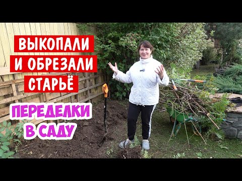 Что мы натворили? Обрезали и убрали то, что росло 16 лет 🙈 Переделки в саду.