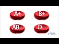 Understanding Blood Functions and Types