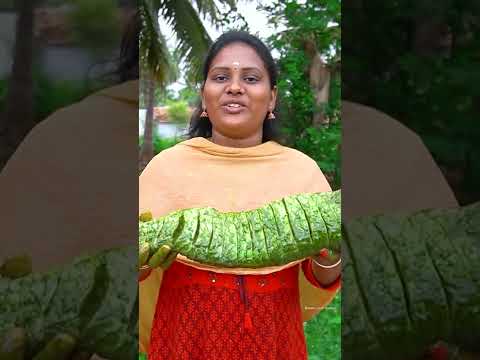 Green Fish Tandoori | பச்சை மீன் தந்தூரி