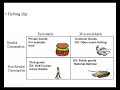 Characteristics and Classification of Goods