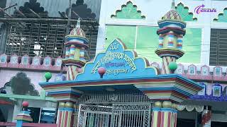 সবুজে ঘেরা প্রিয় জন্মভূমি মদনা, দর্শনা, চুয়াডাঙ্গা