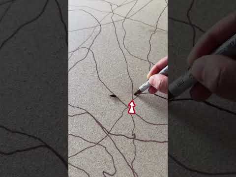 This Guy Tracked a Bug With a Marker and Accidentally Made Art
