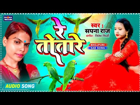 न्यू सपना राज बेवफाई गाना || Sapna Raj  ke gana || Lejo Sandesa Mor Majanua Ke Gaanv