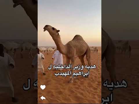 هدية وزير الداخلية الأمير عبد العزيز بن سعود بن نايف آل سعود رجل الأعمال إبراهيم المهيدب هديه جزله