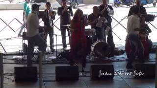 Yamile Freitez y su Orquesta - Nadie más como tú - 2014