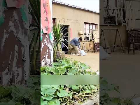 Pura pura jadi miskin demi anak nya, #shorts #shortvideo #film