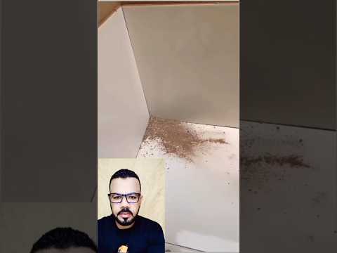 يرضى مين كسلان تحط أسمنت تبوظ سيراميك الشقه كلها حرام عليك #رائج #اكسبلور #ترند #رائج #shorts