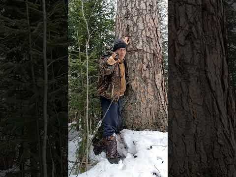 вот дак загадка 🤔🤔 может вы разгадаете🌲🌲🌲