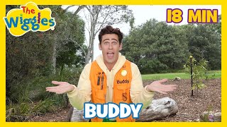 Fun Adventures for Kids with Buddy! 🎶 The Wiggles