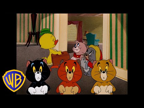 Tom y Jerry en Latino | ¡Los animalitos más lindos! 🐣🐱🐶 |  @WBKidsLatino