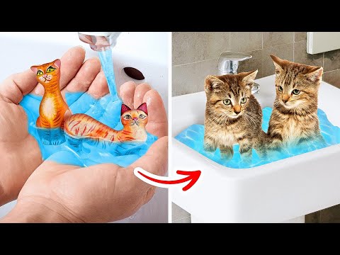 秘密の猫ハウス||驚きのリフォームと秘密の家|ラ・ラ・ライフ　EMOJI