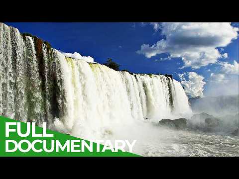 Source of Life - Brazil's Mightiest River | Free Documentary Nature