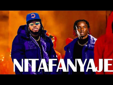 Diamond Platnumz ft D Voice - Nitafanyaje (Official Music Video)