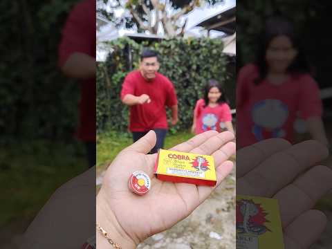bagi bagi kembang ap1 petasan gasing ular #shorts