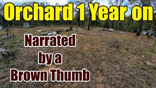 The Orchard: Having Fun Reviewing all 6 Rows. Can You Identify Any?