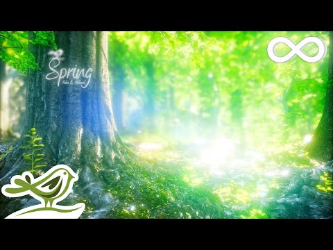 Spring • Beautiful Relaxing Music with a Flute, Cello, Guitar &amp; Piano