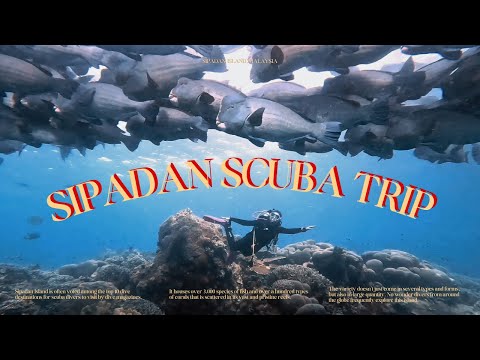 SIPADANScubaTripดำน้ำสิปาดันสวรรค์ใต้น้ำประเทศมาเลเซียmininu