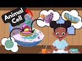 Cell Structure and Function Concepts
