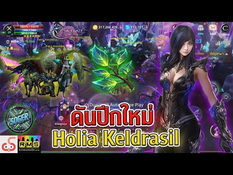 CabalInfiniteCombo:ดันปีกใหม่HoliaKeldrasil