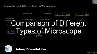 Comparison of Different Types of Microscope