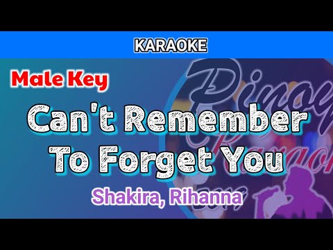 Can’t Remember To Forget You by Shakira, Rihanna (Karaoke : Male Key)