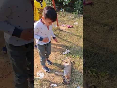 Cute Baby Play With Cute Puppy 🐶 🐕 Puppy Sound