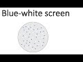 DNA Transformation and Recombinant Techniques