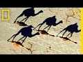 Desert Photography Insights and Challenges