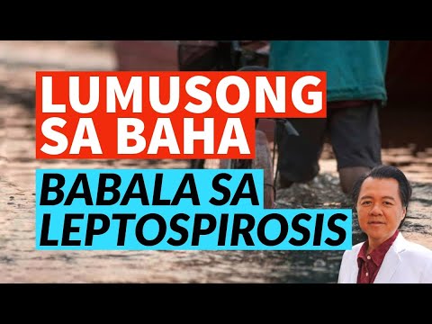 Babala sa Leptospirosis: Lumusong sa Baha, Panoorin Ito