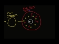 Life Cycle of Stars