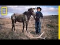 The Cultural Significance of Horses in Native American Communities