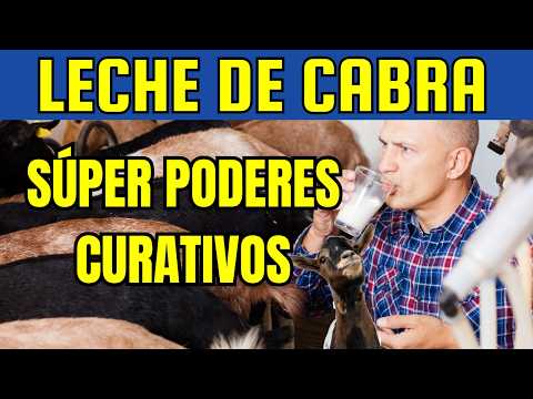 Propiedades CURATIVAS de la LECHE DE CABRA🐐🥛 Conoce TODA la CALIDAD NUTRITIVA de la LECHE de CABRA