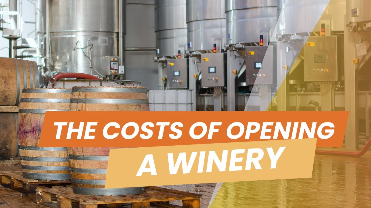 How to Start a Winery Business 2024