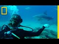 Wildlife Tourism and Conservation Insights