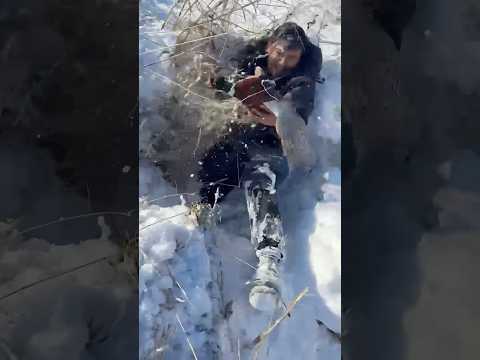 Поймал фазана руками  #охотарыбалка #приколысживотными #природаказахстана
