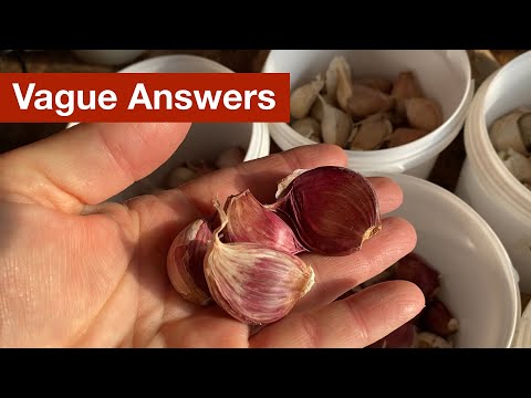 Vague Answers: Learning from Inconclusive Garlic Trials