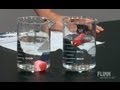 Density and Buoyancy Concepts