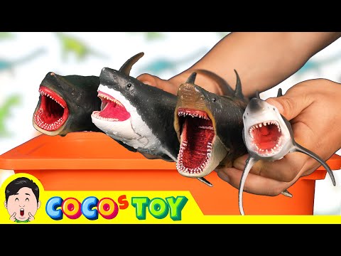 Accidentally woke up the legendary Megalodons｜Animals name, Cenozoic animals｜CoCosToy