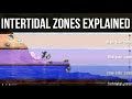 Challenges and Adaptations in the Intertidal Zone