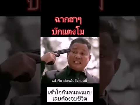 เข้าใจคนละแบบ🤣🤣 #automobile #xcavator