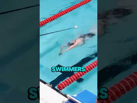How Swimmers Know When to Turn