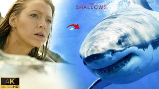 Blake Lively Surfs Before the Shark Attack - The Shallows