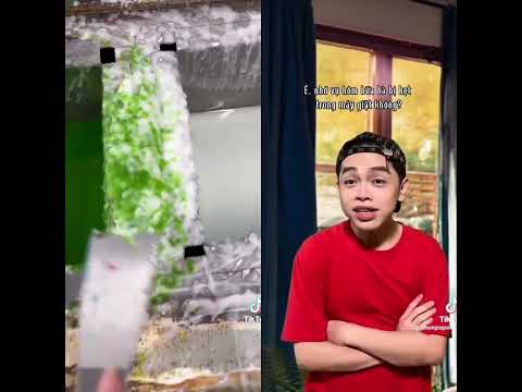 Cre Chun Pop #xuhuong #funny #clipvui #capcut #haihuoc #giaitri #pov
