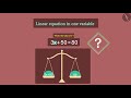 Solving Linear Equations Concepts