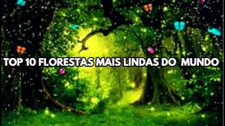 TOP 10 FLORESTAS MAIS LINDAS E FAMOSAS DO MUNDO